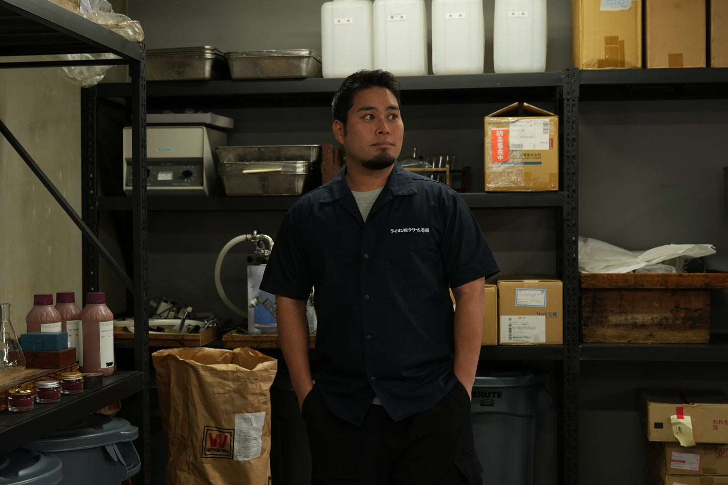 Lion Work Shirts